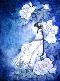 大郡主,小郡马